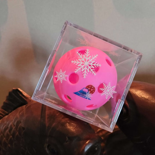 Personalized Pickleball Awards Keepsake with Premium Acrylic Display Case