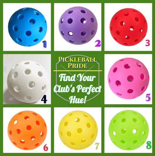 Personalized Pickleball Awards Keepsake with Premium Acrylic Display Case and Custom Base